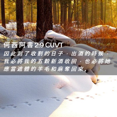 Picture 02 - 何 西 阿 書 2:9 CUVT - 因 此 到 了 收 割 的 日 子 ， 出 酒 - Bible Verse Picture