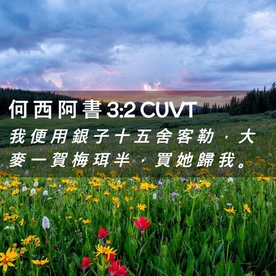 Picture 02 - 何 西 阿 書 3:2 CUVT - 我 便 用 銀 子 十 五 舍 客 勒 ， 大 - Bible Verse Picture