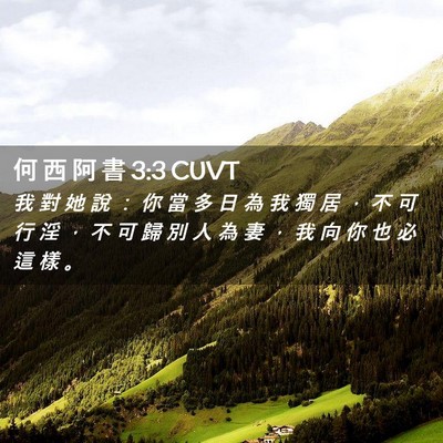 Picture 02 - 何 西 阿 書 3:3 CUVT - 我 對 她 說 ： 你 當 多 日 為 我 獨 - Bible Verse Picture
