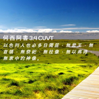 Picture 02 - 何 西 阿 書 3:4 CUVT - 以 色 列 人 也 必 多 日 獨 居 ， 無 - Bible Verse Picture