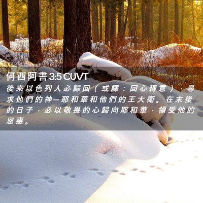 Picture 02 - 何 西 阿 書 3:5 CUVT - 後 來 以 色 列 人 必 歸 回 （ 或 譯 - Bible Verse Picture