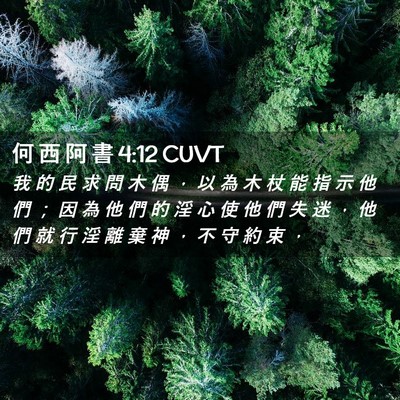 Picture 02 - 何 西 阿 書 4:12 CUVT - 我 的 民 求 問 木 偶 ， 以 為 木 杖 - Bible Verse Picture