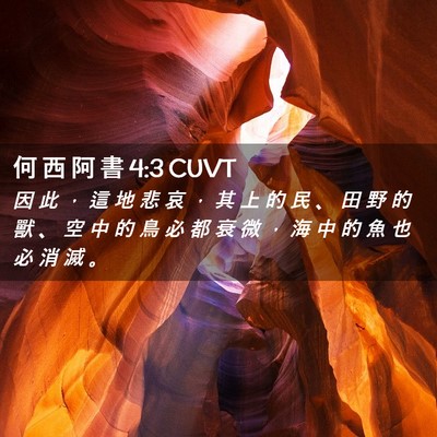 Picture 02 - 何 西 阿 書 4:3 CUVT - 因 此 ， 這 地 悲 哀 ， 其 上 的 民 - Bible Verse Picture