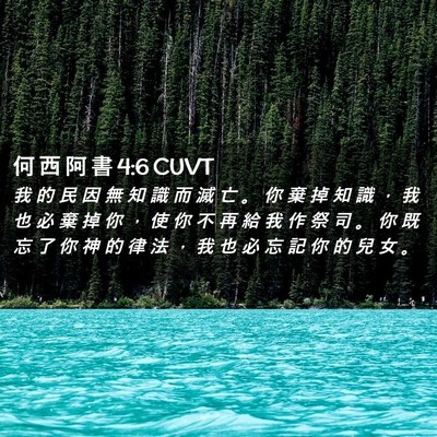 Picture 02 - 何 西 阿 書 4:6 CUVT - 我 的 民 因 無 知 識 而 滅 亡 。 你 - Bible Verse Picture