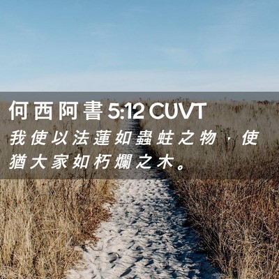 Picture 02 - 何 西 阿 書 5:12 CUVT - 我 使 以 法 蓮 如 蟲 蛀 之 物 ， 使 - Bible Verse Picture