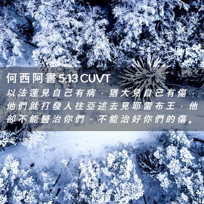 Picture 02 - 何 西 阿 書 5:13 CUVT - 以 法 蓮 見 自 己 有 病 ， 猶 大 見 - Bible Verse Picture