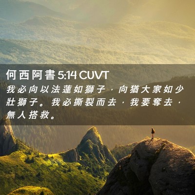 Picture 02 - 何 西 阿 書 5:14 CUVT - 我 必 向 以 法 蓮 如 獅 子 ， 向 猶 - Bible Verse Picture