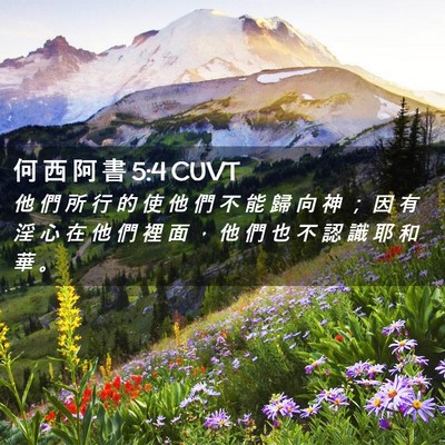 Picture 02 - 何 西 阿 書 5:4 CUVT - 他 們 所 行 的 使 他 們 不 能 歸 向 - Bible Verse Picture