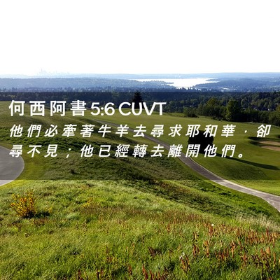 Picture 02 - 何 西 阿 書 5:6 CUVT - 他 們 必 牽 著 牛 羊 去 尋 求 耶 和 - Bible Verse Picture