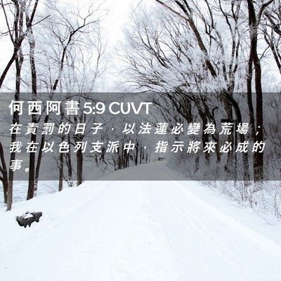 Picture 02 - 何 西 阿 書 5:9 CUVT - 在 責 罰 的 日 子 ， 以 法 蓮 必 變 - Bible Verse Picture
