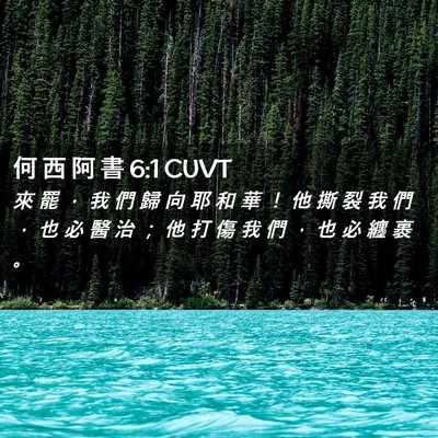 Picture 02 - 何 西 阿 書 6:1 CUVT - 來 罷 ， 我 們 歸 向 耶 和 華 ！ 他 - Bible Verse Picture