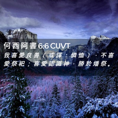 Picture 02 - 何 西 阿 書 6:6 CUVT - 我 喜 愛 良 善 （ 或 譯 ： 憐 恤 ） - Bible Verse Picture