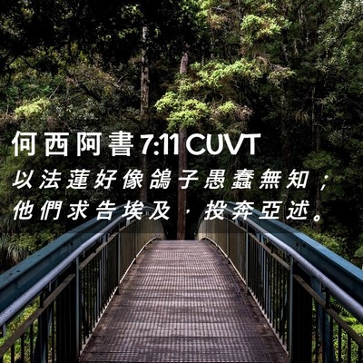 Picture 02 - 何 西 阿 書 7:11 CUVT - 以 法 蓮 好 像 鴿 子 愚 蠢 無 知 ； - Bible Verse Picture