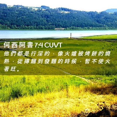 Picture 02 - 何 西 阿 書 7:4 CUVT - 他 們 都 是 行 淫 的 ， 像 火 爐 被 - Bible Verse Picture