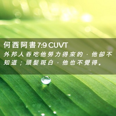 Picture 02 - 何 西 阿 書 7:9 CUVT - 外 邦 人 吞 吃 他 勞 力 得 來 的 ， - Bible Verse Picture