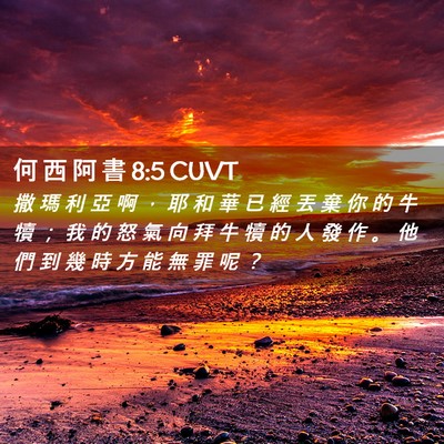 Picture 02 - 何 西 阿 書 8:5 CUVT - 撒 瑪 利 亞 啊 ， 耶 和 華 已 經 丟 - Bible Verse Picture