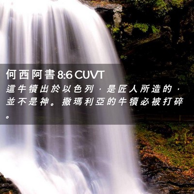 Picture 02 - 何 西 阿 書 8:6 CUVT - 這 牛 犢 出 於 以 色 列 ， 是 匠 人 - Bible Verse Picture