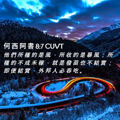 Picture 02 - 何 西 阿 書 8:7 CUVT - 他 們 所 種 的 是 風 ， 所 收 的 是 - Bible Verse Picture