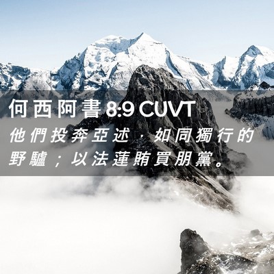 Picture 02 - 何 西 阿 書 8:9 CUVT - 他 們 投 奔 亞 述 ， 如 同 獨 行 的 - Bible Verse Picture
