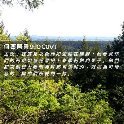 Picture 02 - 何 西 阿 書 9:10 CUVT - 主 說 ： 我 遇 見 以 色 列 如 葡 萄 - Bible Verse Picture