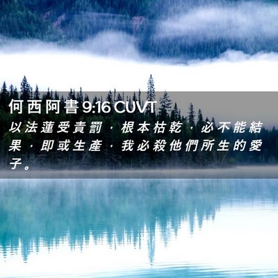 Picture 02 - 何 西 阿 書 9:16 CUVT - 以 法 蓮 受 責 罰 ， 根 本 枯 乾 ， - Bible Verse Picture