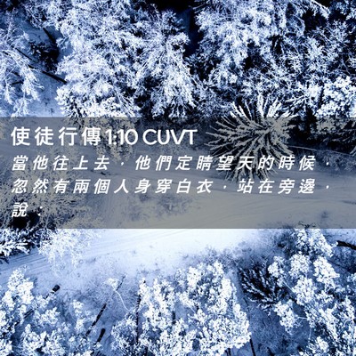 Picture 02 - 使 徒 行 傳 1:10 CUVT - 當 他 往 上 去 ， 他 們 定 睛 望 天 - Bible Verse Picture