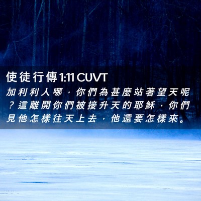 Picture 02 - 使 徒 行 傳 1:11 CUVT - 加 利 利 人 哪 ， 你 們 為 甚 麼 站 - Bible Verse Picture