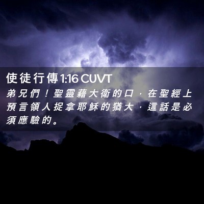 Picture 02 - 使 徒 行 傳 1:16 CUVT - 弟 兄 們 ！ 聖 靈 藉 大 衛 的 口 ， - Bible Verse Picture