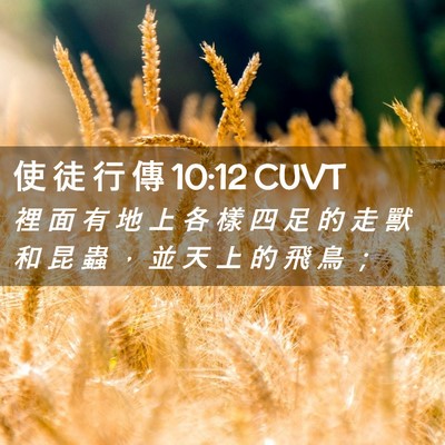 Picture 02 - 使 徒 行 傳 10:12 CUVT - 裡 面 有 地 上 各 樣 四 足 的 走 獸 - Bible Verse Picture