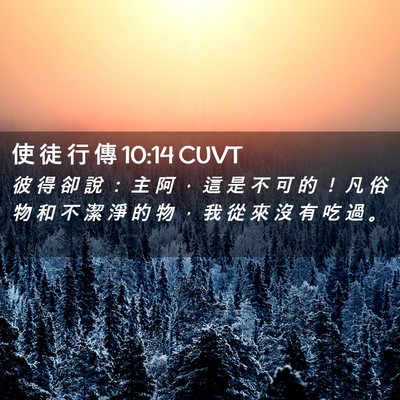 Picture 02 - 使 徒 行 傳 10:14 CUVT - 彼 得 卻 說 ： 主 阿 ， 這 是 不 可 - Bible Verse Picture