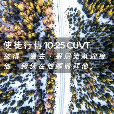Picture 02 - 使 徒 行 傳 10:25 CUVT - 彼 得 一 進 去 ， 哥 尼 流 就 迎 接 - Bible Verse Picture
