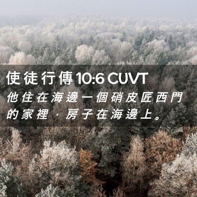 Picture 02 - 使 徒 行 傳 10:6 CUVT - 他 住 在 海 邊 一 個 硝 皮 匠 西 門 - Bible Verse Picture