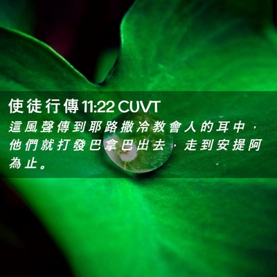 Picture 02 - 使 徒 行 傳 11:22 CUVT - 這 風 聲 傳 到 耶 路 撒 冷 教 會 人 - Bible Verse Picture