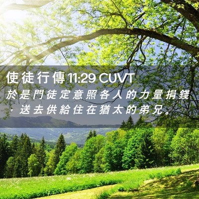 Picture 02 - 使 徒 行 傳 11:29 CUVT - 於 是 門 徒 定 意 照 各 人 的 力 量 - Bible Verse Picture