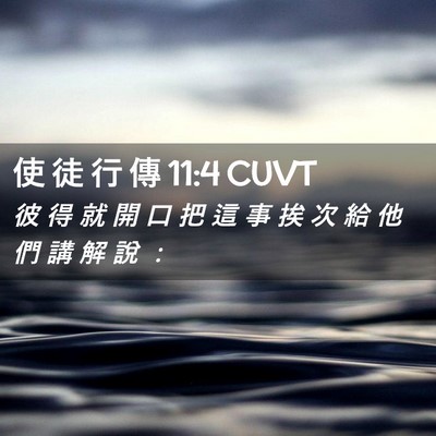 Picture 02 - 使 徒 行 傳 11:4 CUVT - 彼 得 就 開 口 把 這 事 挨 次 給 他 - Bible Verse Picture