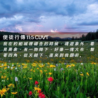 Picture 02 - 使 徒 行 傳 11:5 CUVT - 我 在 約 帕 城 裡 禱 告 的 時 候 ， - Bible Verse Picture