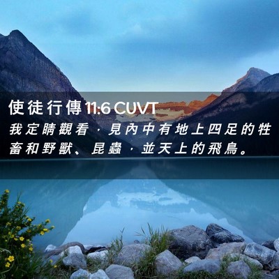 Picture 02 - 使 徒 行 傳 11:6 CUVT - 我 定 睛 觀 看 ， 見 內 中 有 地 上 - Bible Verse Picture