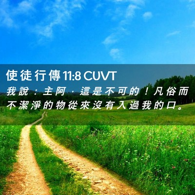 Picture 02 - 使 徒 行 傳 11:8 CUVT - 我 說 ： 主 阿 ， 這 是 不 可 的 ！ - Bible Verse Picture