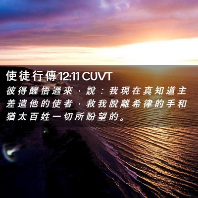 Picture 02 - 使 徒 行 傳 12:11 CUVT - 彼 得 醒 悟 過 來 ， 說 ： 我 現 在 - Bible Verse Picture