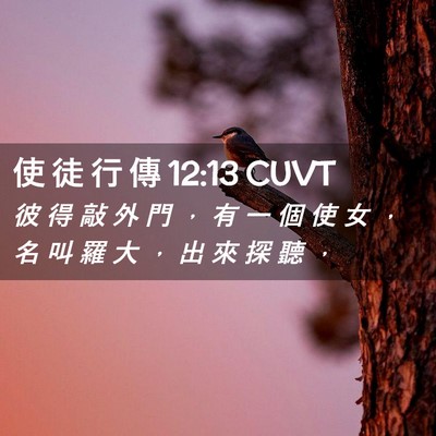 Picture 02 - 使 徒 行 傳 12:13 CUVT - 彼 得 敲 外 門 ， 有 一 個 使 女 ， - Bible Verse Picture