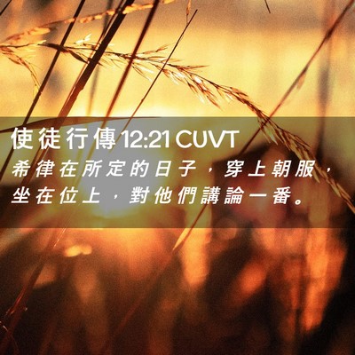 Picture 02 - 使 徒 行 傳 12:21 CUVT - 希 律 在 所 定 的 日 子 ， 穿 上 朝 - Bible Verse Picture