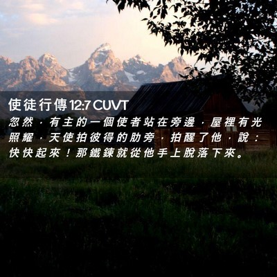 Picture 02 - 使 徒 行 傳 12:7 CUVT - 忽 然 ， 有 主 的 一 個 使 者 站 在 - Bible Verse Picture