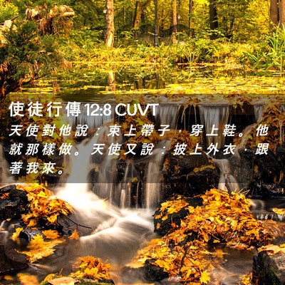 Picture 02 - 使 徒 行 傳 12:8 CUVT - 天 使 對 他 說 ： 束 上 帶 子 ， 穿 - Bible Verse Picture