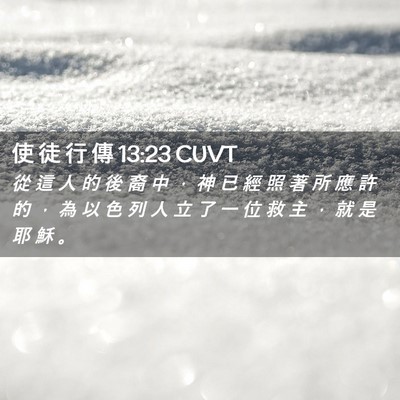 Picture 02 - 使 徒 行 傳 13:23 CUVT - 從 這 人 的 後 裔 中 ， 神 已 經 照 - Bible Verse Picture