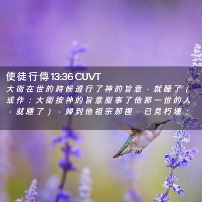 Picture 02 - 使 徒 行 傳 13:36 CUVT - 大 衛 在 世 的 時 候 遵 行 了 神 的 - Bible Verse Picture