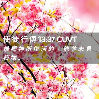 Picture 02 - 使 徒 行 傳 13:37 CUVT - 惟 獨 神 所 復 活 的 ， 他 並 未 見 - Bible Verse Picture