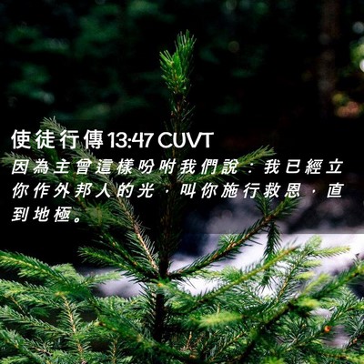 Picture 02 - 使 徒 行 傳 13:47 CUVT - 因 為 主 曾 這 樣 吩 咐 我 們 說 ： - Bible Verse Picture