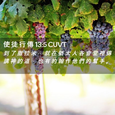 Picture 02 - 使 徒 行 傳 13:5 CUVT - 到 了 撒 拉 米 ， 就 在 猶 太 人 各 - Bible Verse Picture