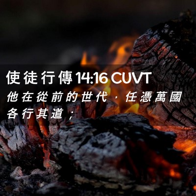 Picture 02 - 使 徒 行 傳 14:16 CUVT - 他 在 從 前 的 世 代 ， 任 憑 萬 國 - Bible Verse Picture