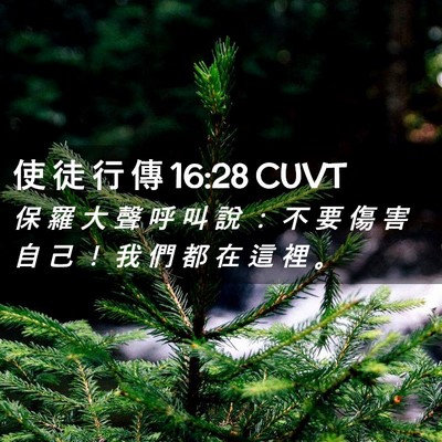 Picture 02 - 使 徒 行 傳 16:28 CUVT - 保 羅 大 聲 呼 叫 說 ： 不 要 傷 害 - Bible Verse Picture